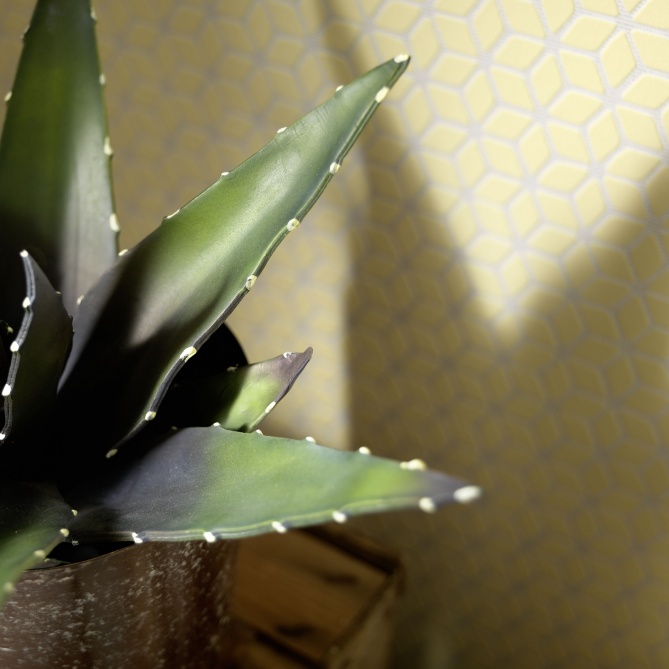 Papel pintado - ALMADA 02 - 564603