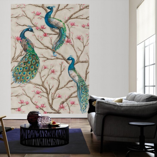 DISEÑOS - SONORA 01 - 464117