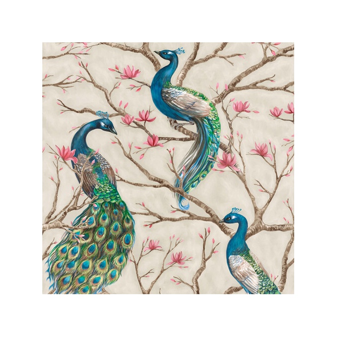 DISEÑOS - SONORA 01 - 464117