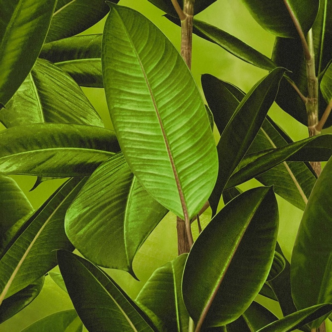 Papel pintado - YOKO - 102631