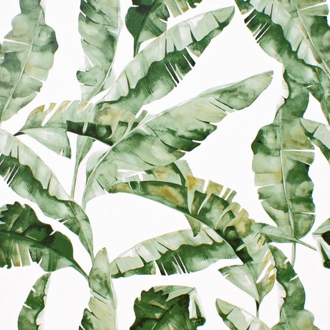 Papel pintado - OSASCO 03 - 30217