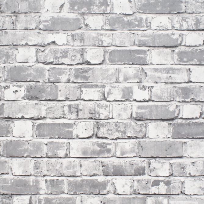 Papel pintado - DUKE 03 - 10134