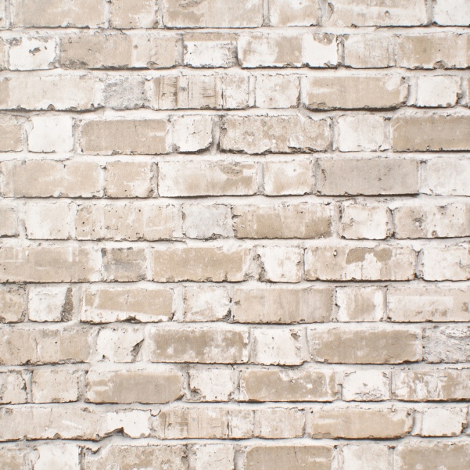 Papel pintado - DUKE 04 - 10136