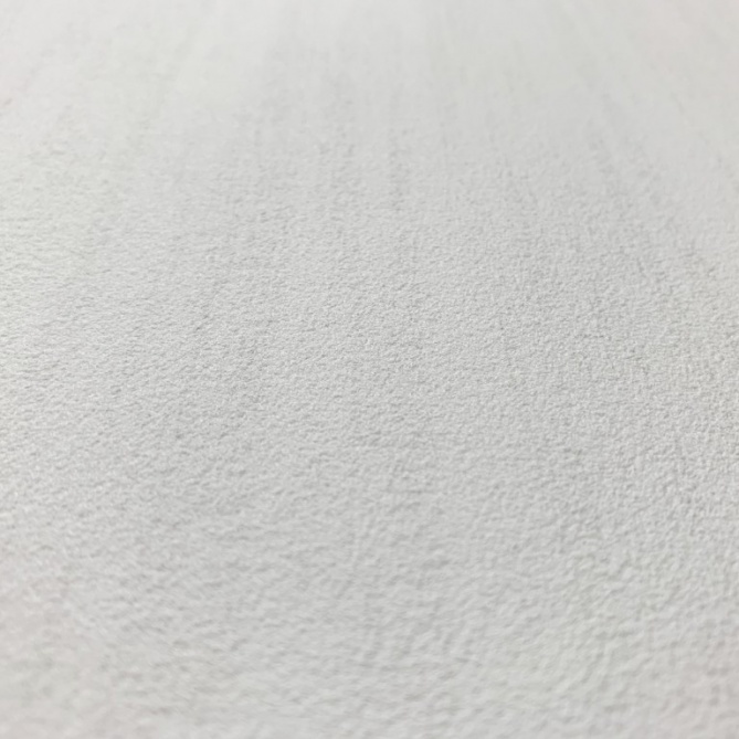 Papel pintado - PARUS 02 - 253511