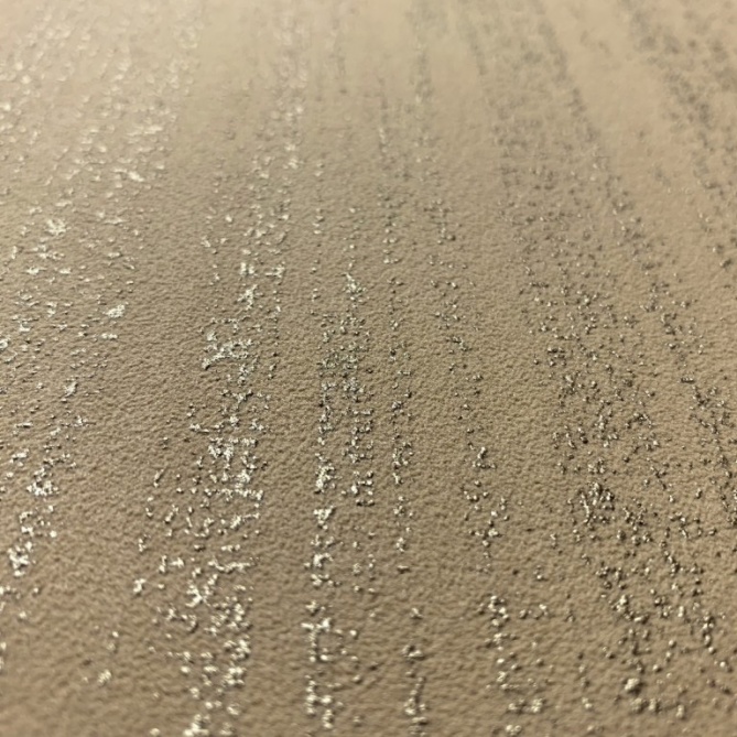 Papel pintado - PARUS 16 - 353558