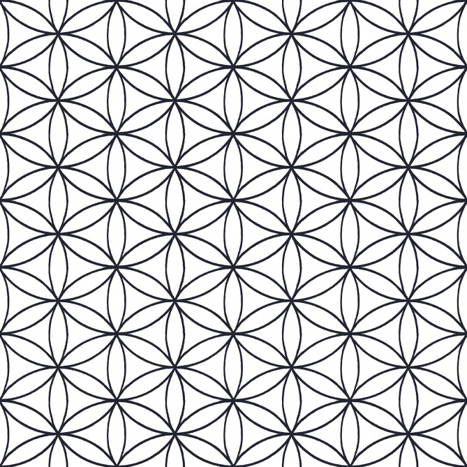 Papel Pintado Flor Geométrica - MASCO 02 | MURAKE - 80271