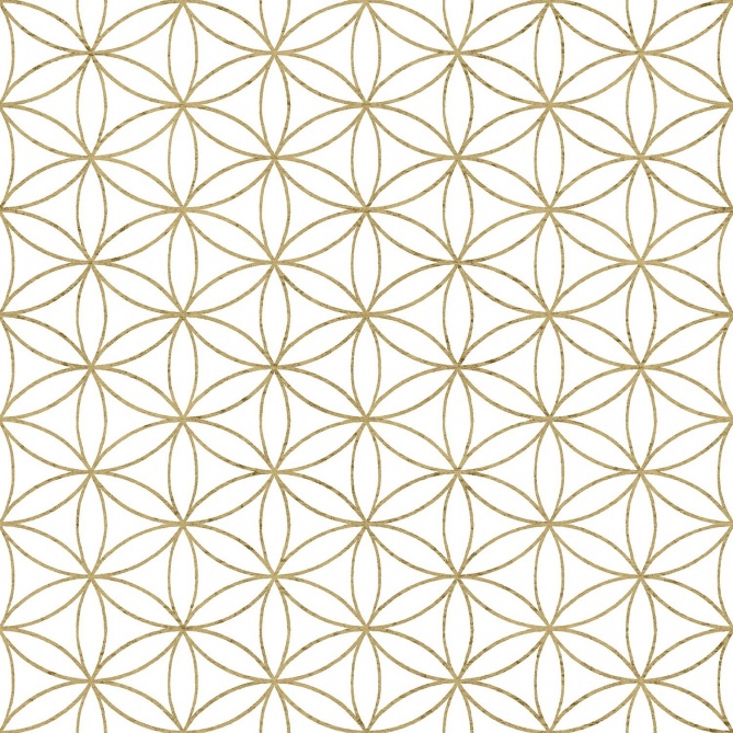 Papel Pintado Flor Geométrica - MASCO 03 | MURAKE - 80272