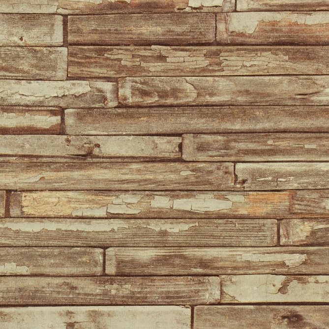 Papel Pintado Madera - DREVO  | MURAKE - 5455040