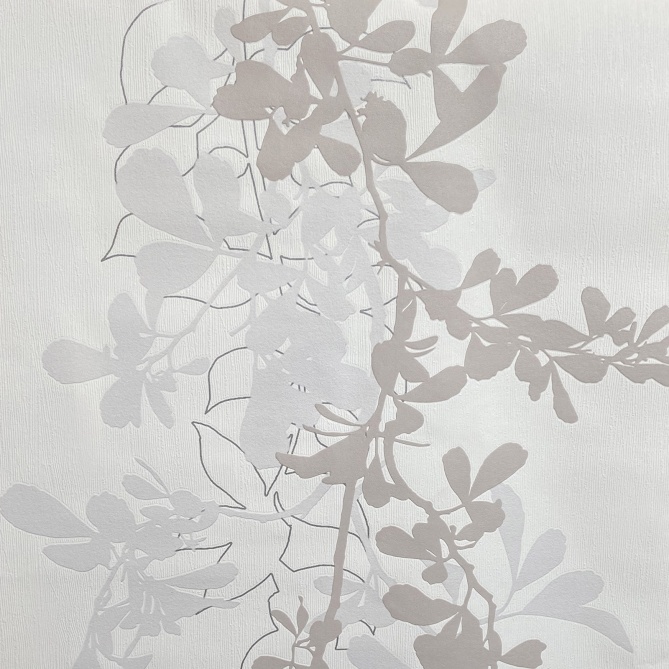 Papel Pintado Floral - OBIMS 648673 | MURAKE - 648673