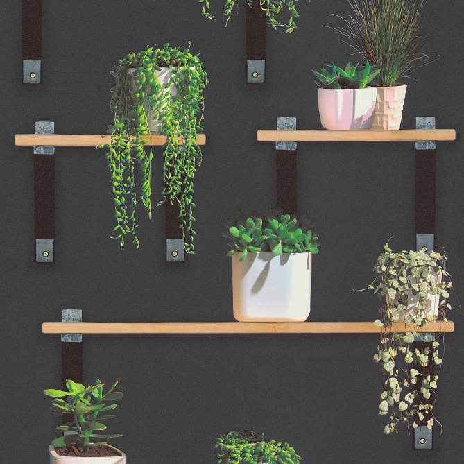 Papel Pintado Estantería con Plantas - ALGAIDA  | MURAKE - 884631
