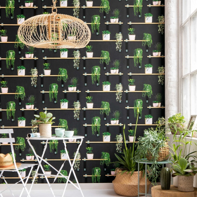 Papel Pintado Estantería con Plantas - ALGAIDA  | MURAKE - 884631