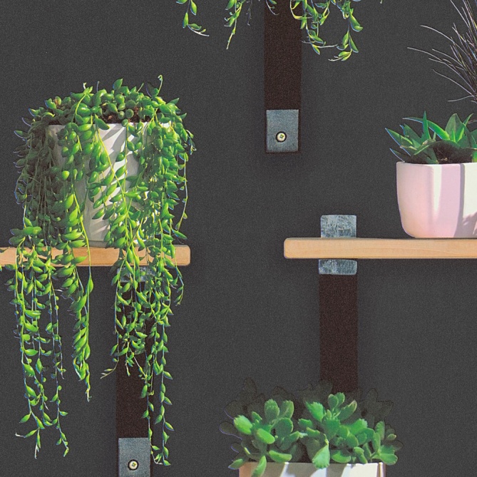 Papel Pintado Estantería con Plantas - ALGAIDA  | MURAKE - 884631