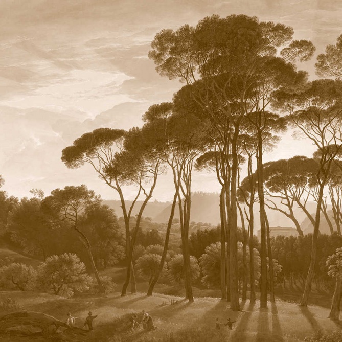 Papel Pintado Bosque Africano - MASJID 811819 | MURAKE - 811819