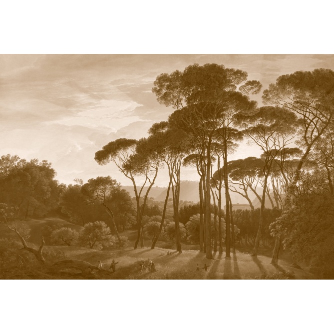 Papel Pintado Bosque Africano - MASJID 811819 | MURAKE - 811819