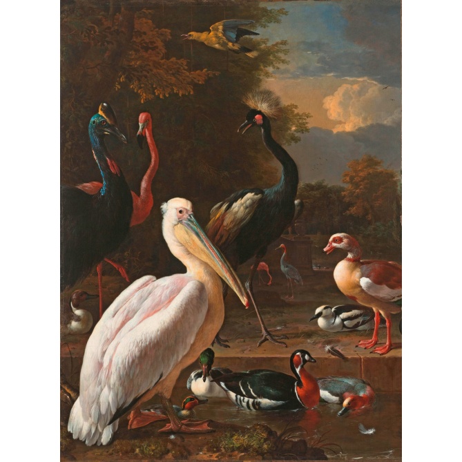 Papel Pintado Aves - RIODNO  | MURAKE - 811820