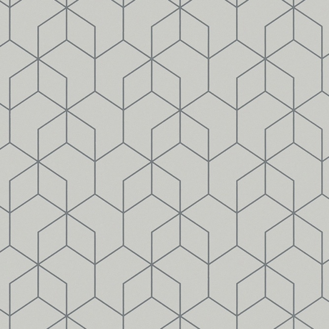Papel Pintado Hexágono - FENNANGE 01 | MURAKE - 47618