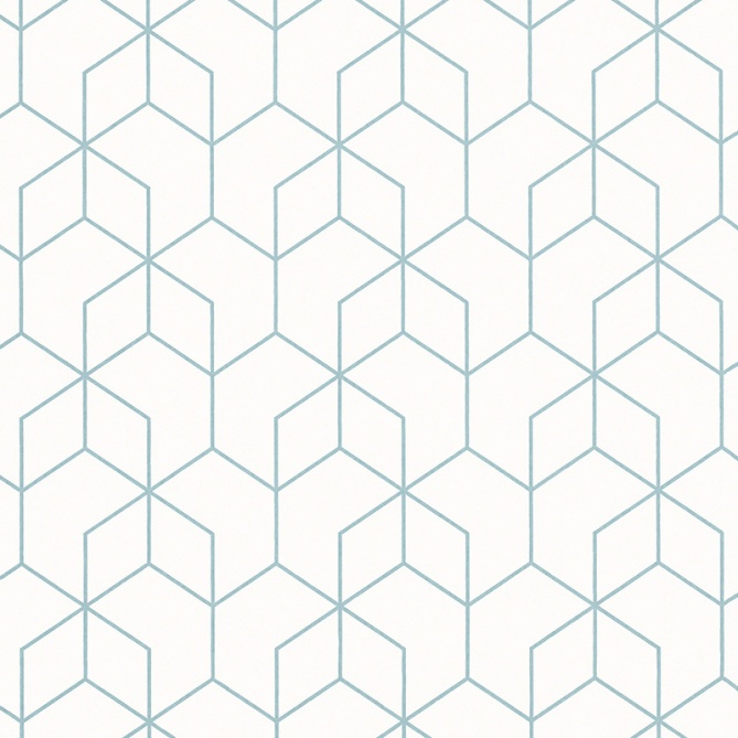 Papel Pintado Hexágono - FENNANGE 03 | MURAKE - 47620