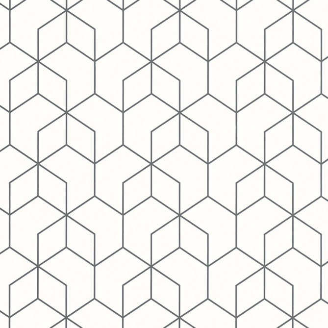 Papel Pintado Hexágono - FENNANGE 04 | MURAKE - 47621