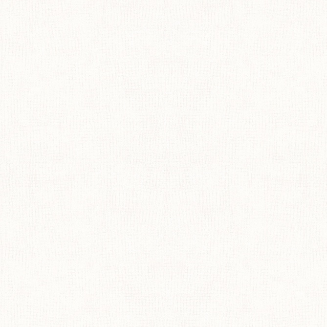 Papel Pintado Textura - ANTRIOL 05 | MURAKE - 47634