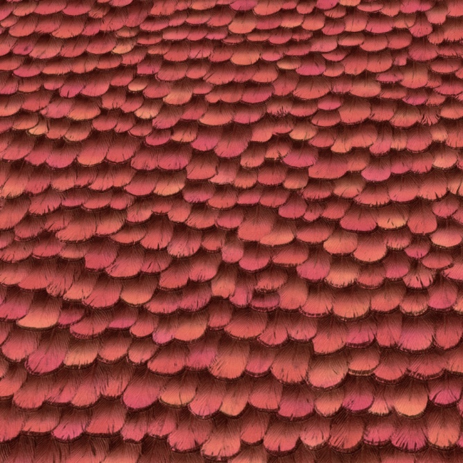 Papel Pintado Plumas - LABREA 01 | MURAKE - 211017