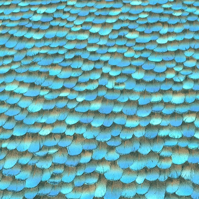 Papel Pintado Plumas - LABREA 02 | MURAKE - 211018