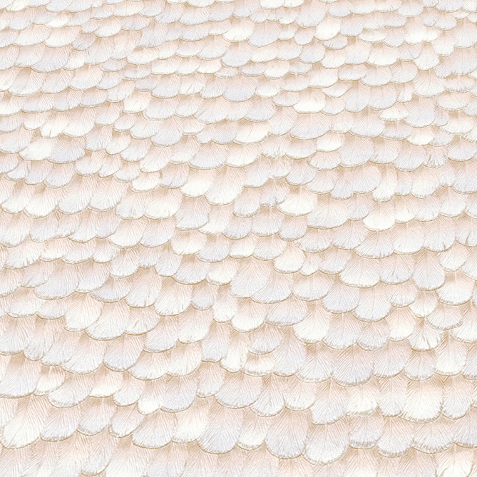 Papel Pintado Plumas - LABREA 05 | MURAKE - 211021
