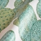 Papel Pintado Cactus - UKUBA 03 | MURAKE - 16146