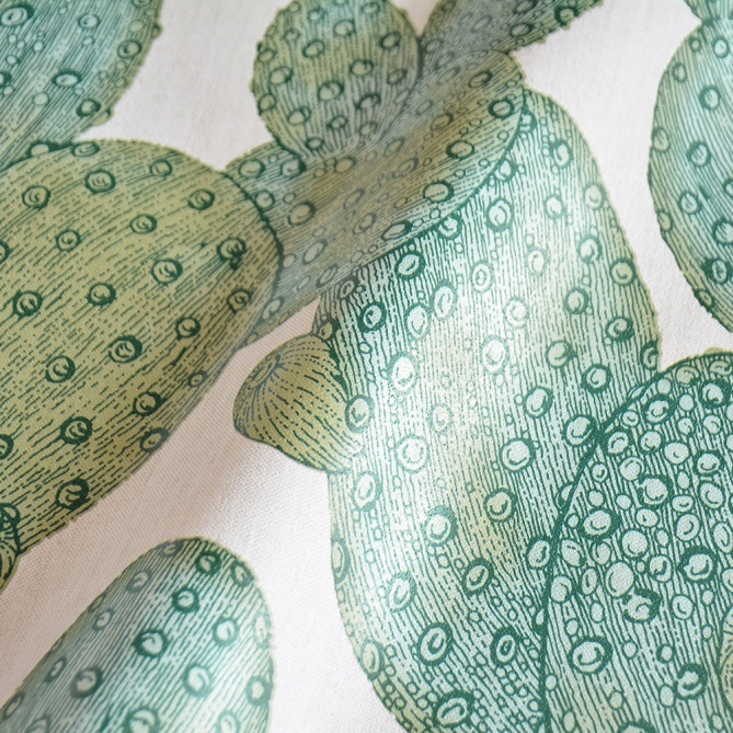 Papel Pintado Cactus - UKUBA 03 | MURAKE - 16146
