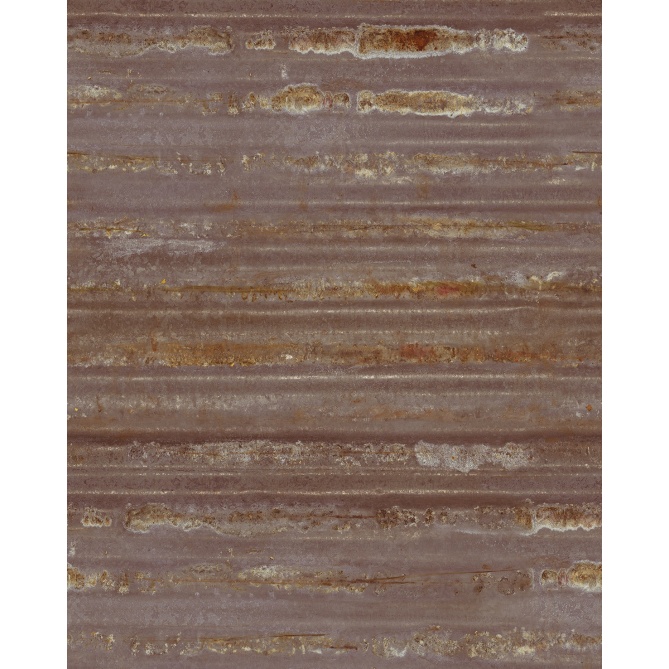 Fotomural Reja metálica - IRWIN 02 | MURAKE - 75248