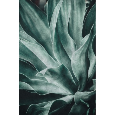 Fotomural Hojas - MENAN  | MURAKE - 75249