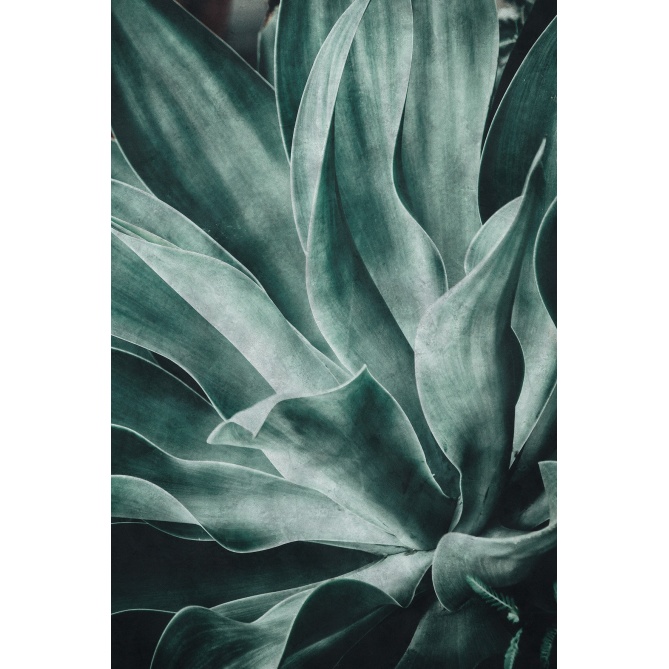 Fotomural Hojas - MENAN  | MURAKE - 75249