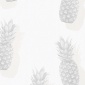 Papel Pintado Piñas - DOMMEL 02 | MURAKE - 48602