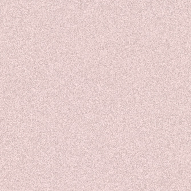  - 304203