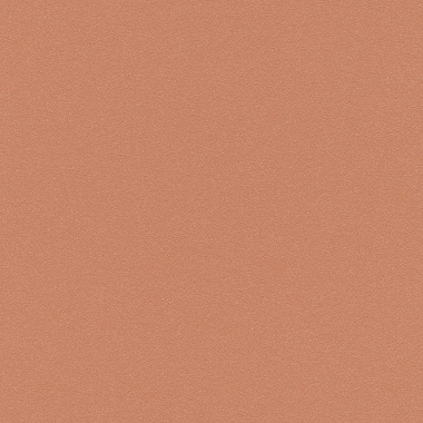  - 304205