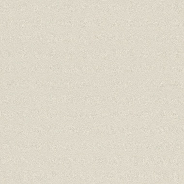  - 304213