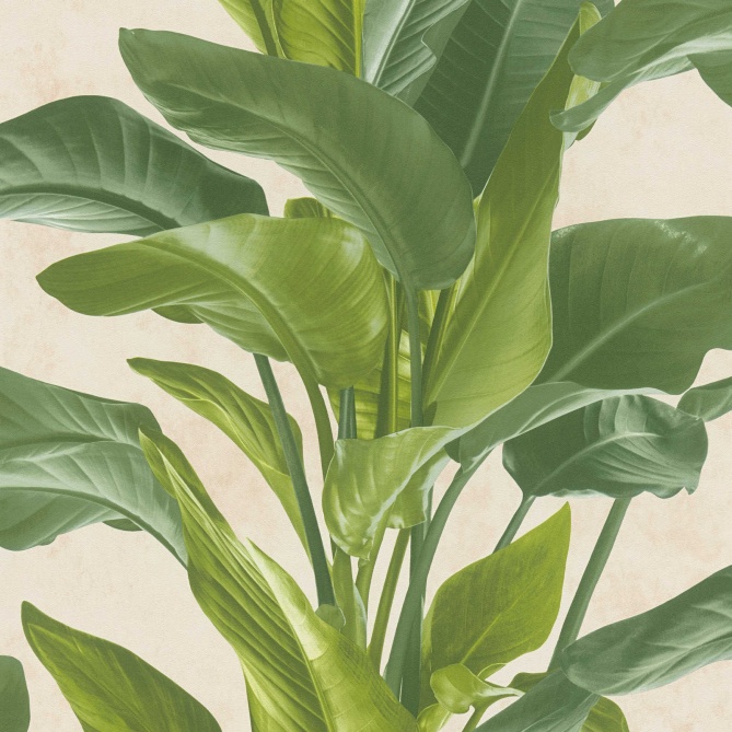 Papel Pintado Hojas Grandes - GUALBA 03 | MURAKE - 687323