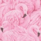 Papel Pintado Flamingos - DIFLAMSK  | MURAKE - 98702