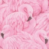 Papel Pintado Flamingos - DIFLAMSK  | MURAKE - 98702