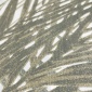 Papel Pintado Hoja de Palma - KOTOSIRA 03 | MURAKE - 20403