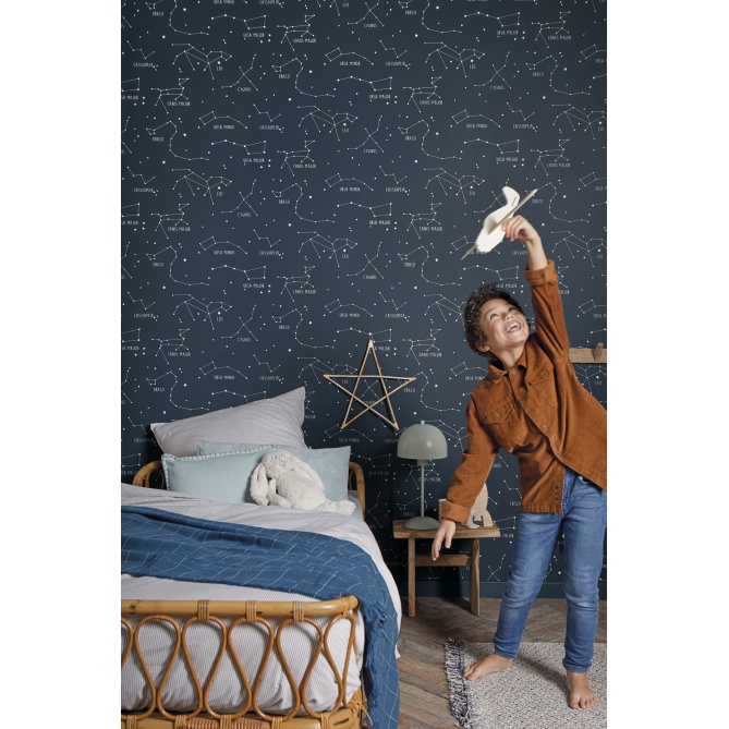 Papel Pintado Constelaciones - ASTRUM 02 | MURAKE - 91002