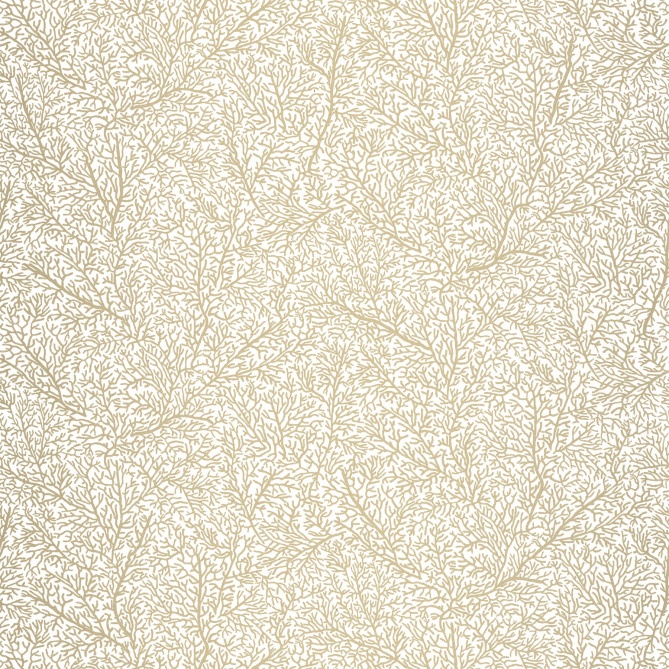 Papel Pintado Corales - BEGAVA 01 | MURAKE - 72421