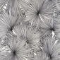 Papel Pintado Hoja de palma - TUNCOC 07 | MURAKE - 100407