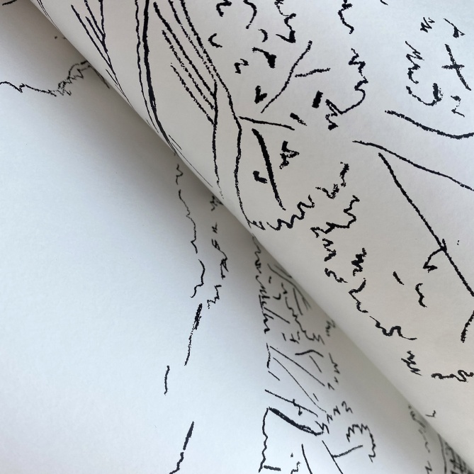 Papel Pintado Vegetación - PAHONO 01 | MURAKE - 30041