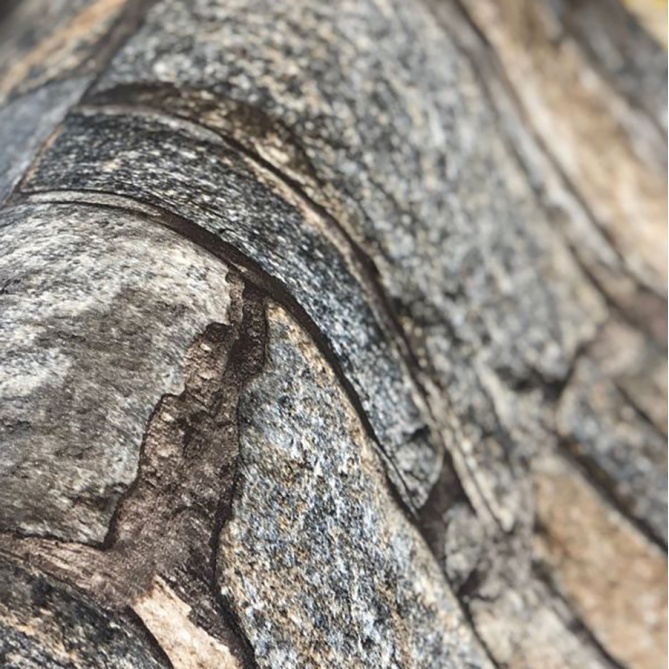 Papel Pintado Muro de piedra - TIMBO 394003 | MURAKE - 394003