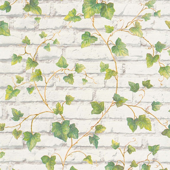 Papel Pintado Piedra con hiedra - JILIB 01 | MURAKE - 249131