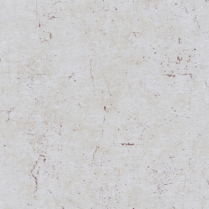 Papel Pintado Textura Hormigón - PAUL 06 | MURAKE - 119636