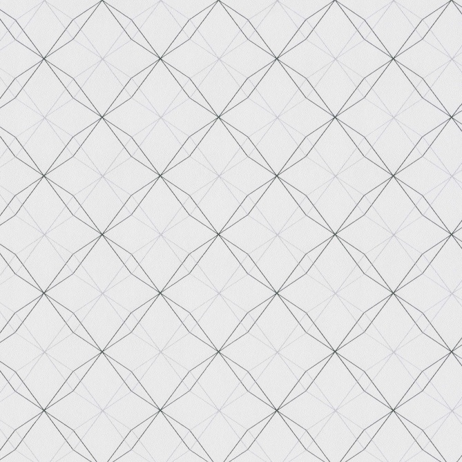 Papel Pintado Geométrico - STER 03 | MURAKE - 291217