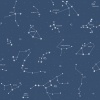 Papel Pintado Infantil Constelaciones - NAHOKU 01 | MURAKE - 53351