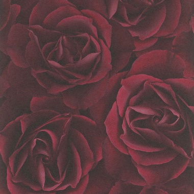 Papel Pintado Pétalos de rosas - GULLER  | MURAKE - 423316