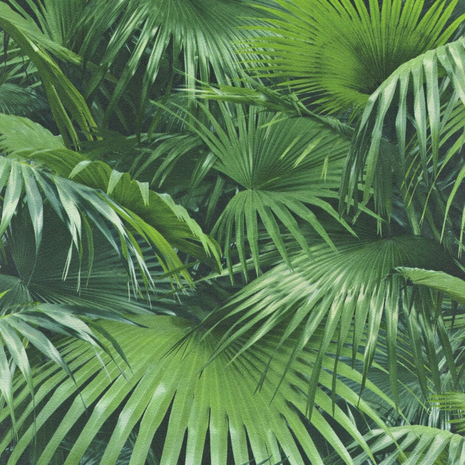 Papel Pintado Hojas - DABINO  | MURAKE - 423317